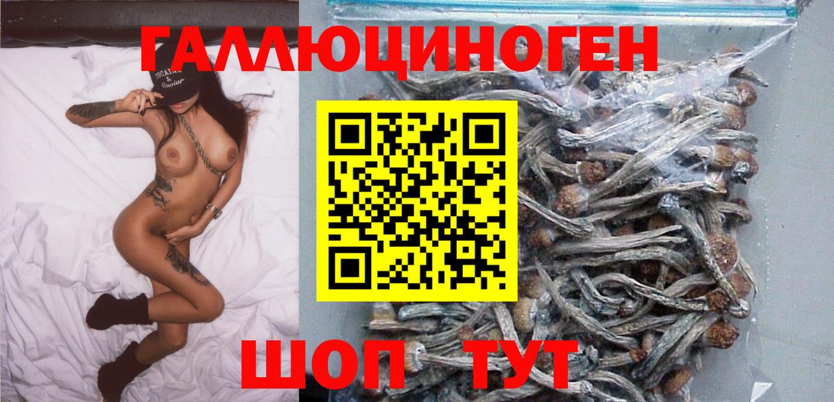 Галлюциногенные грибы Cubensis  Вход с VPN  Казань 