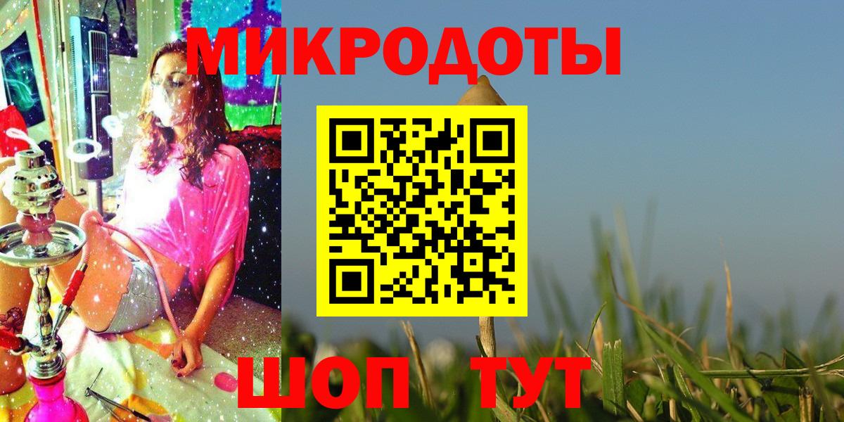 Галлюциногенные грибы Psilocybe Казань